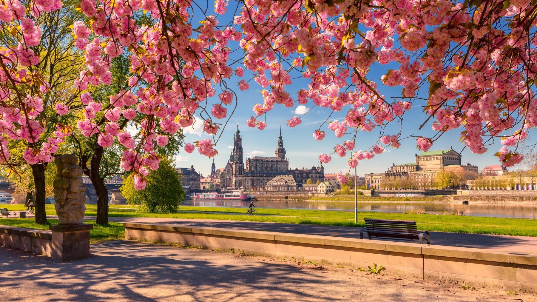 Wohnen, Dresden und was uns bewegt