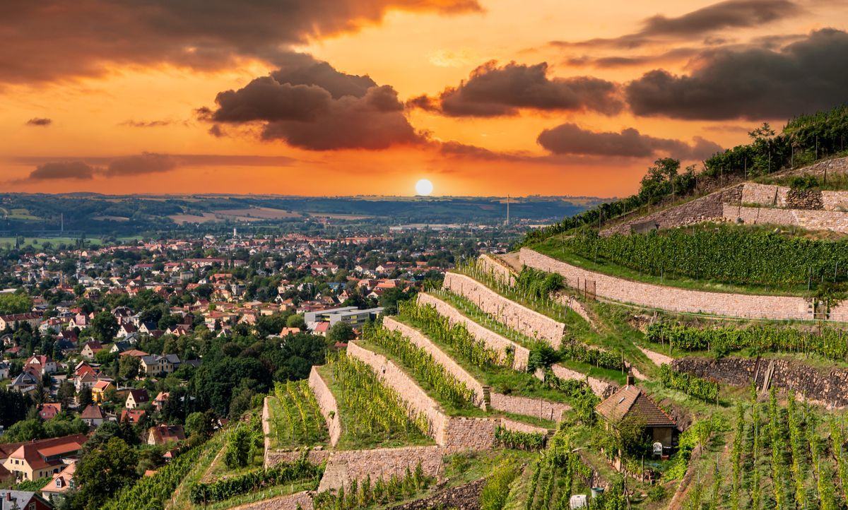 Coswig