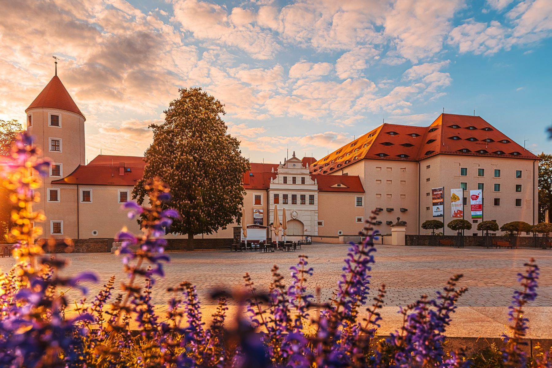 Freiberg. Universitätsstadt mit Welterbe