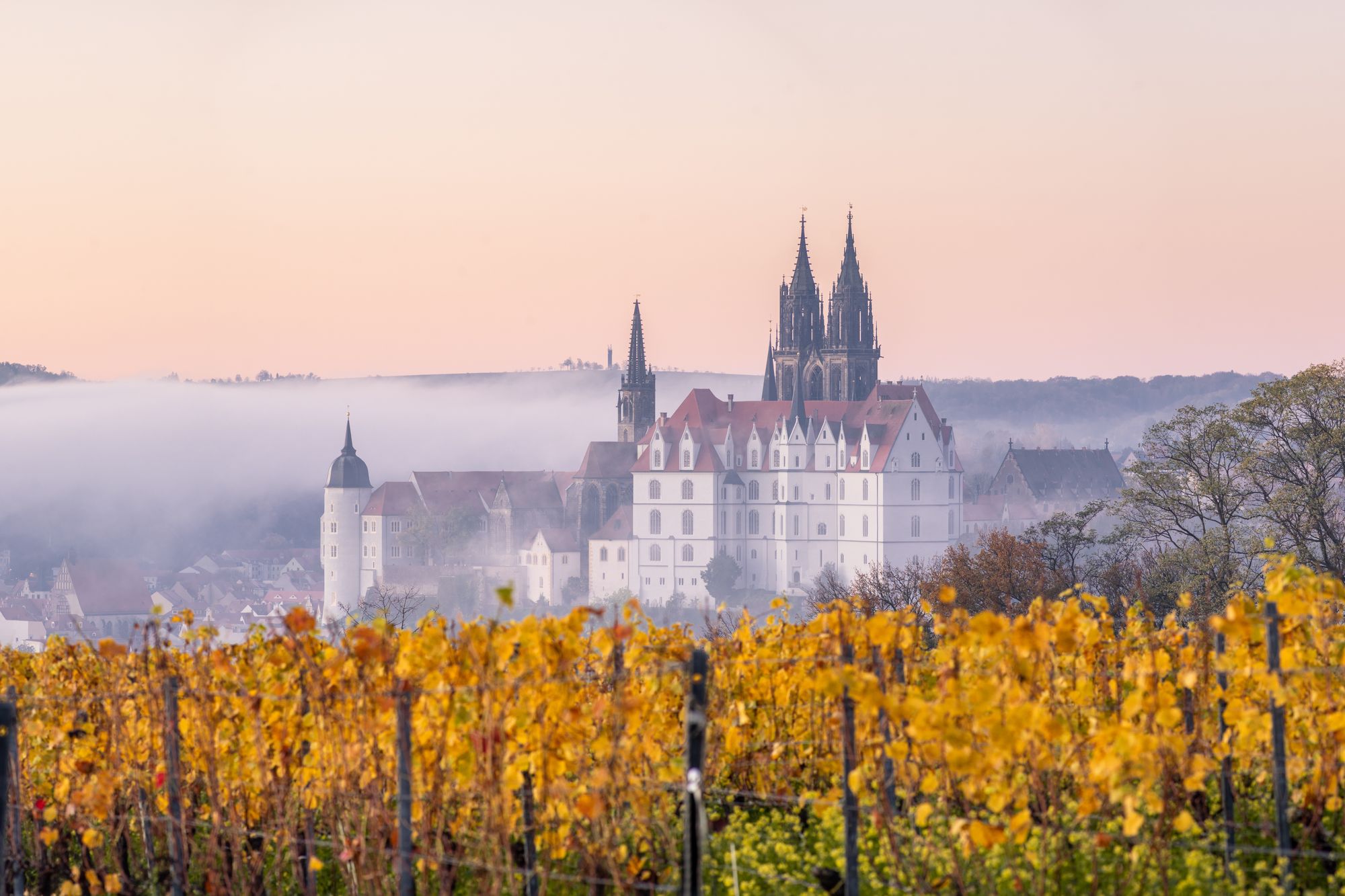 Meißen. Die Wiege Sachsens