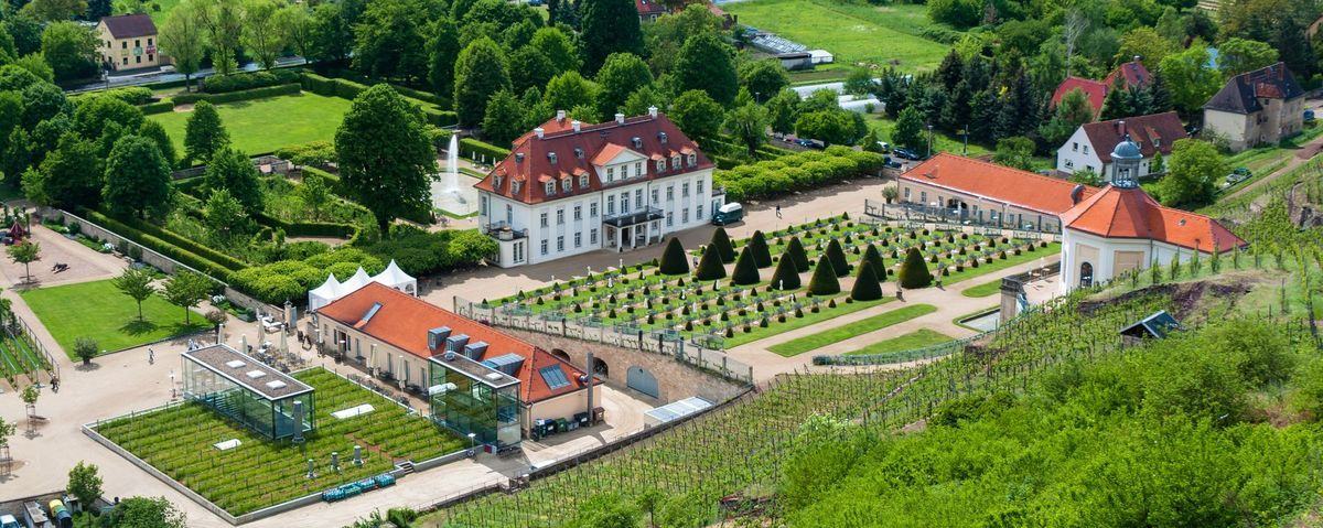 Schloss Wackerbarth in den Weinbergen